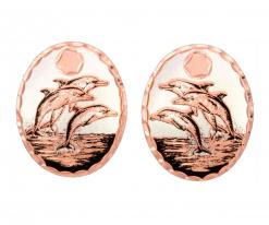 Sun Set & Dolphins Stud Earrings