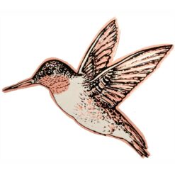 Charming Hummingbird Brooch