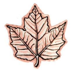 Buy Pretty Maple Leaf Brooches