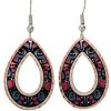 Buy stylish and original abstract Native Haida earrings