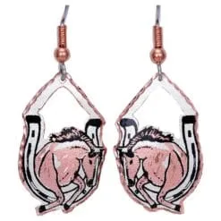 Horse and Horse Shoe Earrings