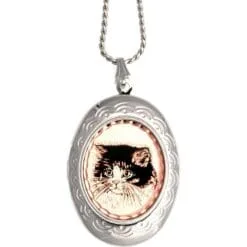 Beautiful Cat Locket Necklace