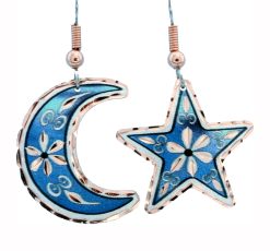 Sky Blue Moon and Star Flower Earrings 201bl
